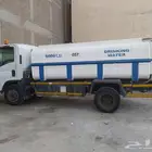دينا ايسوزو مديل 2016