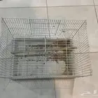 شبك عصفور كنت حاط فيه كروان وببيعه