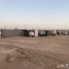 اجار أحواش باليوم على الرأس الواحد