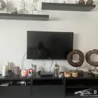 قرطبه الخبر