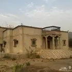عماره الايجار