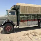 عايدي لوري مديل77 مجدد ومفحوص