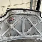 كبوت كوريلا 2003