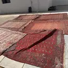 زل ايراني