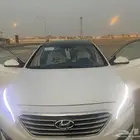 هولندي سوناتا المجدوعي