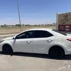 كورولا