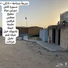 كامري