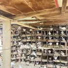 حمام باكستاني فقط غير الباكستاني ماهو للبيع
