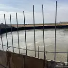 زاهد