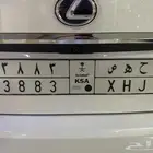 لوحة شبه مميزة 3883 للبيع