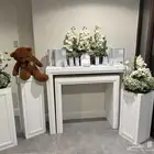 مدخل استقبال وستاندات مع تنسيق ورد