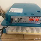 فقاسة 36 بيضة