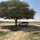 بليزر 2013