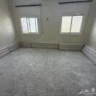 مساند ظهر شبه جديد