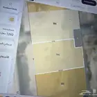 ارض حي الضاحية