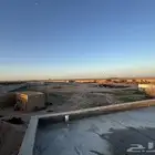 مزرعه القصيم الرس الرسيس