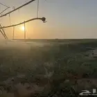 رشاش كهرب وادي الدواسر