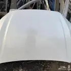 كبوت يارس 2024