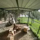 شبك بقلاوه اخو الجديد 4 في 3