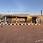 بيت شعر الملكي