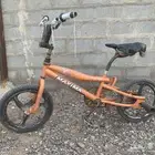 كوبرا للبيع