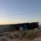 شبك حمام