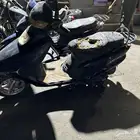 دباب عجيب