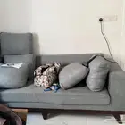 كنب للبيع