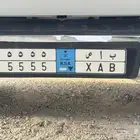 لوحة مميزة للبيع ( نقل خاص )