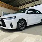 ياريس 2023