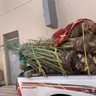 سكري برحي خلاص ونان لبانة