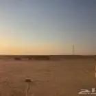 مخيم للبيع ( تم البيع )