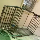 شبك ددسن هايلوكس