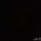 كوفي للتقبيل المستعجل وبسعر مناسب جدا