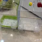 اقفاص و حقت مويه و ملاعق اكل و كور لعب ل الطيور