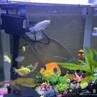 للبيع حوض سمك جميل ونظيف جدا مع كااامل تجهيزاته