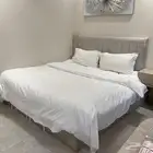 اثاث