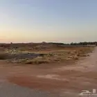 ارض زراعية للبيع مساحتها 10 الاف متر