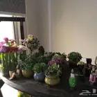 تحف لتزيين البيت او المطاعم او المقاهي