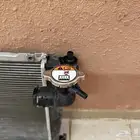 رديتر موية كادينزا ((اخو الجديد))