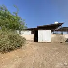 مربط اوس الحجاز للخيل العربية الاصيلة