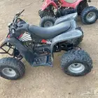 دباب سويدي