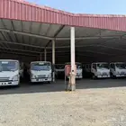 دينا ايسوزو 2025