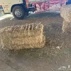 تبن بر صافي