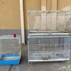 قفصين كناري