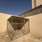 شبك