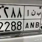 لوحه مميزه للبيع لأغلى سوم
