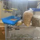 زوج روز مع الفرخ وفطوم