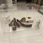 قفص أكريليك شفاف للحيوانات الصغيرة -هامستر-