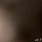 احتاج شقه عزاب غرفتين في الشرايع